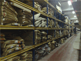 GBG-Lucas Auto parts - Belgrade 