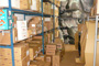 GBG-LUCAS AUTO PARTS - Belgrade, Shop 2